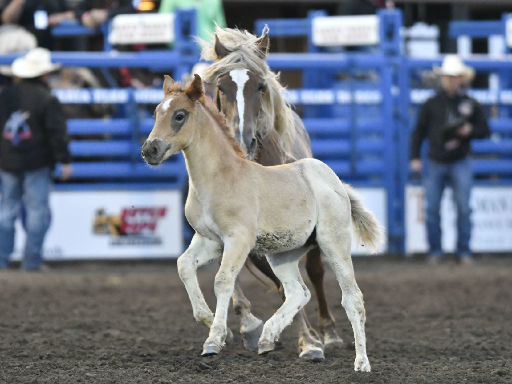 053019 Rodeo Thursday 27.jpg